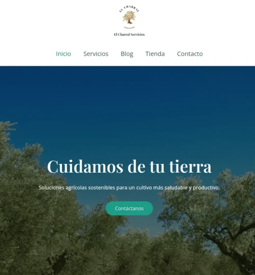 Captura-de-pantalla-de-2024-07-30-11-40-20